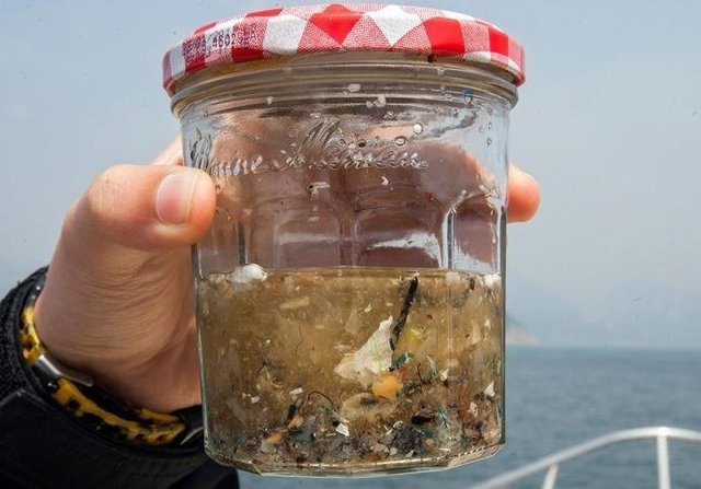 如果知道海洋中的塑料垃圾會(huì)進(jìn)入人類肚子，你還會(huì)丟嗎？