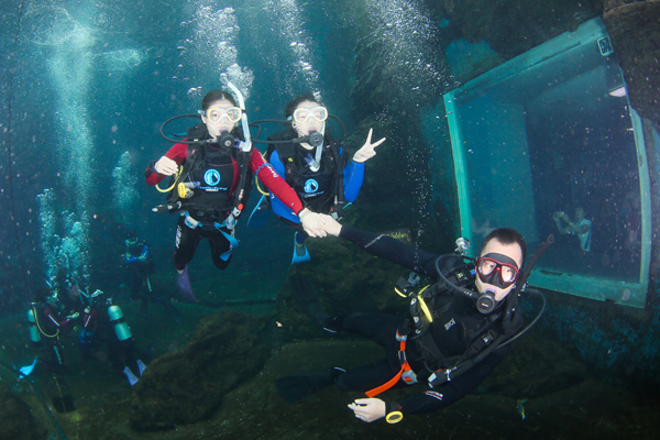 12/12正式上線！PADI 最新課程【休閑潛水員Resort Diver】 丨 一天拿證，潛遍全球