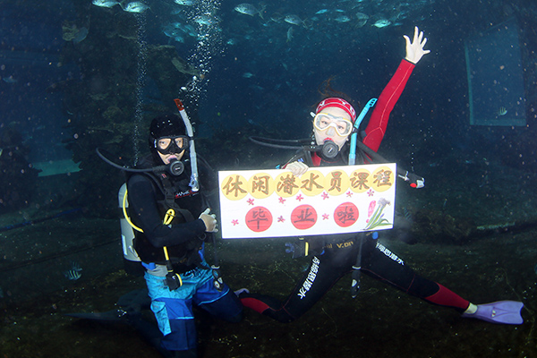 12/12正式上線！PADI 最新課程【休閑潛水員Resort Diver】 丨 一天拿證，潛遍全球