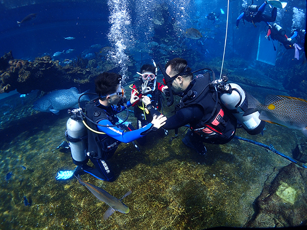 12/12正式上線！PADI 最新課程【休閑潛水員Resort Diver】 丨 一天拿證，潛遍全球